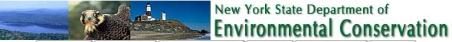 Fish stocked in NY in 2005